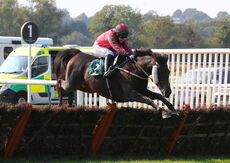 racingTV.com Mares' Handicap Hurdle
