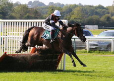 racingTV.com Mares' Handicap Hurdle