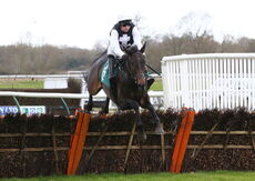 Mansionbet Nov Hurdle Div 1