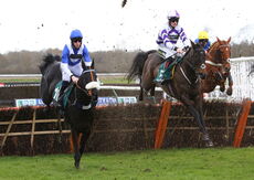 Mansionbet Nov Hurdle Div 1