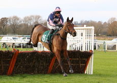 RacingTV.com NH Novices' Hurdle