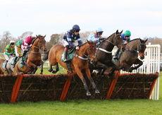 RacingTV.com NH Novices' Hurdle