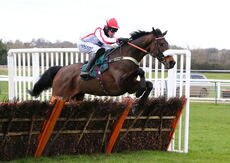 Mansionbet Nov Hurdle Div 1