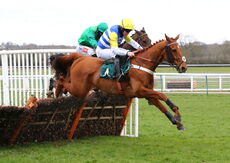 Mansionbet Nov Hurdle Div 1
