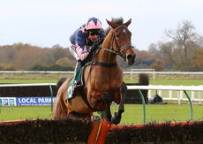 RacingTV.com NH Novices' Hurdle
