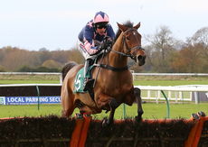 Emmas Joy (Harry Skelton)