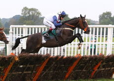 Racing TV Handicap Hurdle.