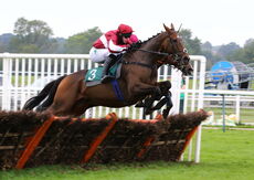 Racing TV Handicap Hurdle.