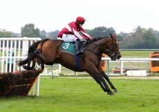 Racing TV Handicap Hurdle.