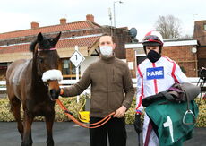 Mansionbet Nov Hurdle Div 1