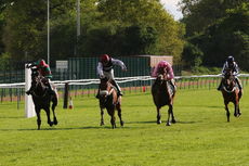 Tilney NH Flat Race Div 2