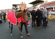RacingTV.com NH Novices' Hurdle