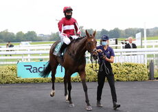 Racing TV Handicap Hurdle.