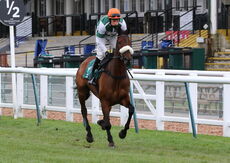 Mansionbet Nov Hurdle Div 2