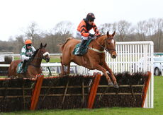 Mansionbet Nov Hurdle Div 2