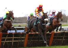 Mansionbet Nov Hurdle Div 2