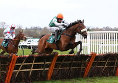 Mansionbet Nov Hurdle Div 2