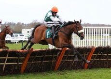 Calico (Harry Skelton)