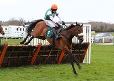 Calico (Harry Skelton)