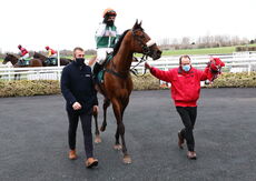 Mansionbet Nov Hurdle Div 2