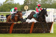 Irish Thoroughbred Marketing Novices' Hurdle.
