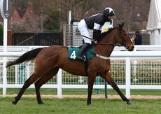 Mansionbet EBF Mares' Nov Chase