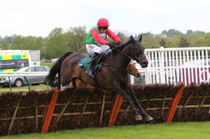 Irish Thoroughbred Marketing Novices' Hurdle.