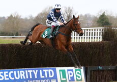 Irish Thoroughbred Marketing Novices' Hurdle.