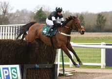 Mansionbet EBF Mares' Nov Chase