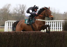 Irish Thoroughbred Marketing Novices' Hurdle.