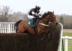 Liberty Bella (Robert Dunne)