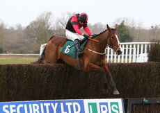 Mansionbet EBF Mares' Nov Chase