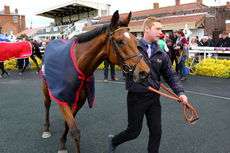 Irish Thoroughbred Marketing Novices' Hurdle.