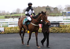 Mansionbet EBF Mares' Nov Chase
