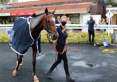 Racing TV Conditional Jockey's Handicap Chase.