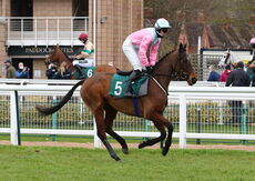 Mansionbet Handicap Hurdle.