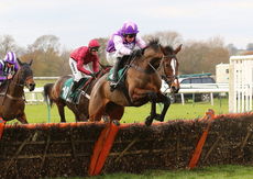 RacingTV.com Mares' Novices' Hurdle