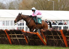 Mansionbet Handicap Hurdle.