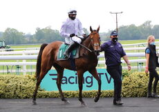 Racing TV Handicap Chase.
