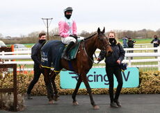 Mansionbet Handicap Hurdle.
