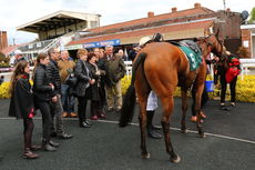 Racing TV NH Maiden Hurdle