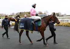 Mansionbet Handicap Hurdle.