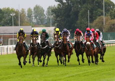racingtv Mares' 'NH' Flat Race.