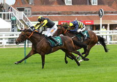 racingtv Mares' 'NH' Flat Race.