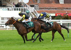 racingtv Mares' 'NH' Flat Race.