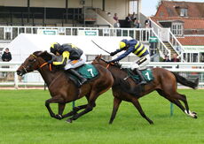 racingtv Mares' 'NH' Flat Race.