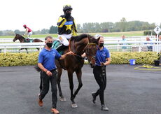 racingtv Mares' 'NH' Flat Race.