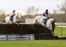 Mansionbet Handicap Chase