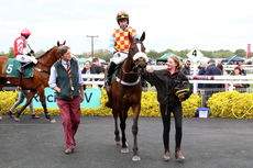 Racing TV Novices' H'cap Chase