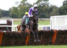 racingTV.com Mares' Novices' Hurdle